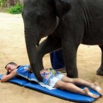 Секс-массаж слоном