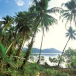 Кокосовый рай на острове Чанг