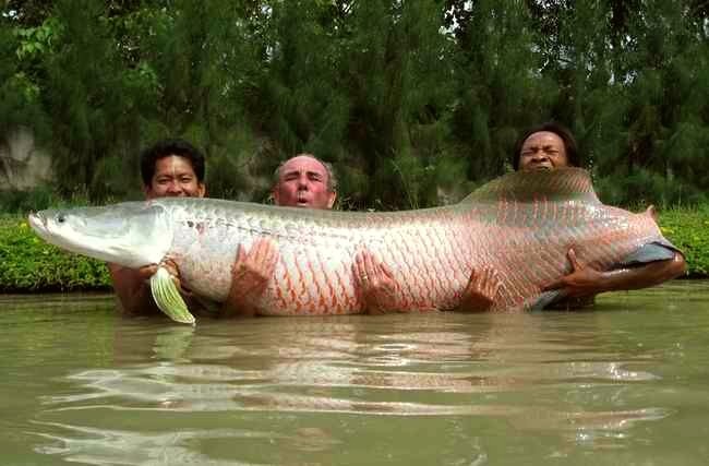 Рыбалка в Таиланде