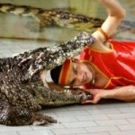 Шоу крокодилов в Паттайя